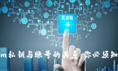 : 揭秘Tokenim私钥与账号的关系：你必须知道的安