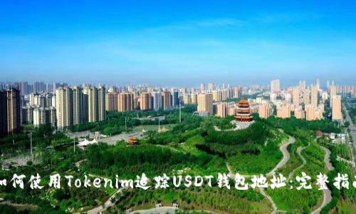 如何使用Tokenim追踪USDT钱包地址：完整指南
