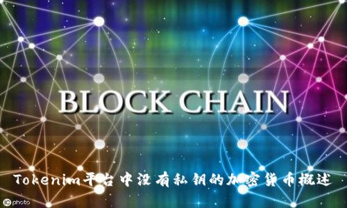 Tokenim平台中没有私钥的加密货币概述