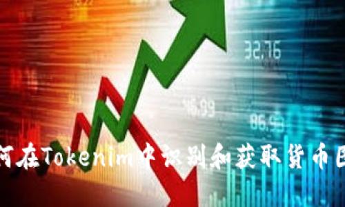 如何在Tokenim中识别和获取货币图标