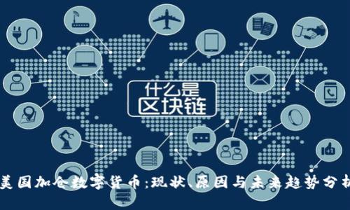 美国加仓数字货币：现状、原因与未来趋势分析