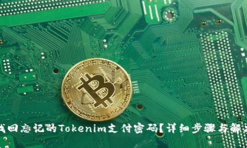 如何找回忘记的Tokenim支付密码？详细步骤与解决方案