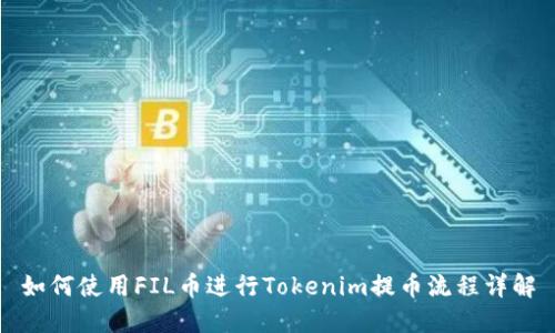 如何使用FIL币进行Tokenim提币流程详解