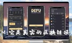 揭秘TokenIM：它是真实的区块链项目还是骗局？