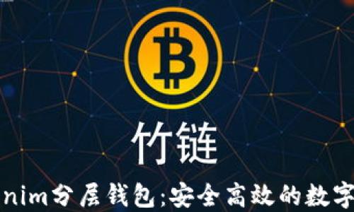 
深入了解Tokenim分层钱包：安全高效的数字资产管理工具