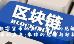 : 探索数字货币的未来：朱玮的见解与分析数字货