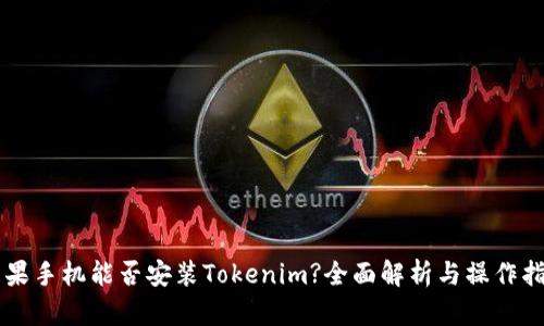 苹果手机能否安装Tokenim?全面解析与操作指南