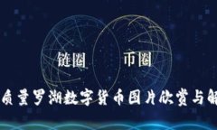 高质量罗湖数字货币图片欣赏与解析