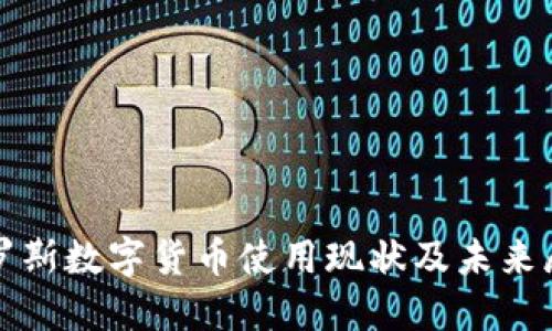 俄罗斯数字货币使用现状及未来展望