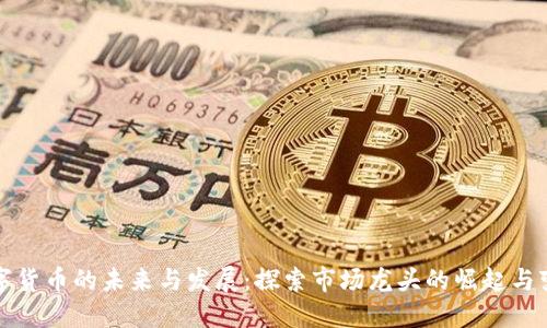 数字货币的未来与发展：探索市场龙头的崛起与变革