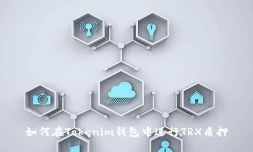 如何在Tokenim钱包中进行TRX质押