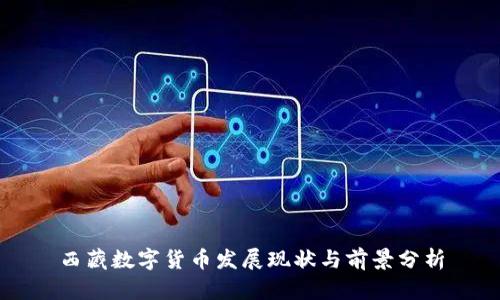 西藏数字货币发展现状与前景分析