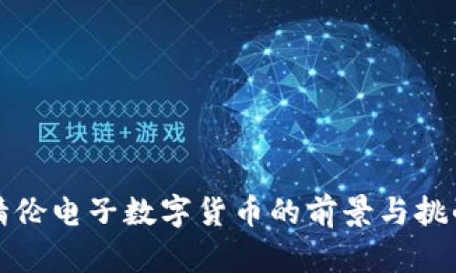 精伦电子数字货币的前景与挑战