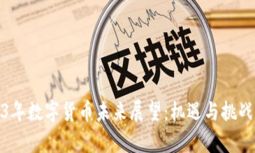 2023年数字货币未来展望：机遇与挑战并存