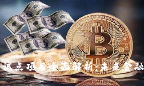 中国数字货币试点项目全面解析：未来金融的变革与挑战
