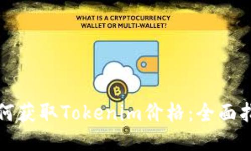 如何获取Tokenim价格：全面指南
