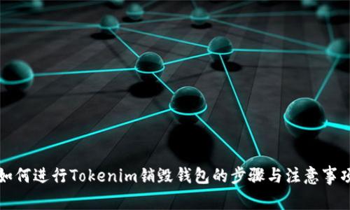 如何进行Tokenim销毁钱包的步骤与注意事项