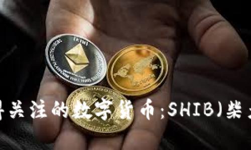 2023年值得关注的数字货币：SHIB（柴犬币）全解析