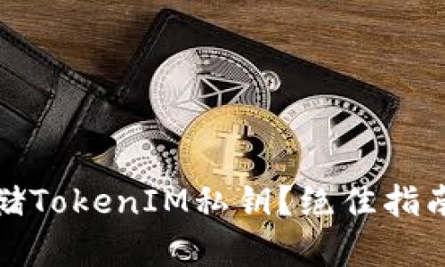如何安全存储TokenIM私钥？绝佳指南与实用技巧