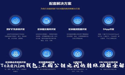 Tokenim钱包：不同公链之间的转账功能全解
