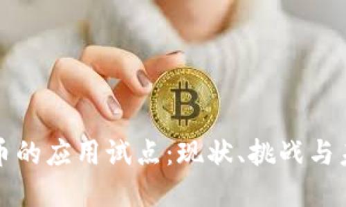 数字货币的应用试点：现状、挑战与未来展望