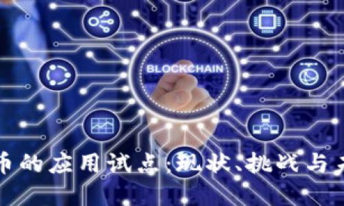 数字货币的应用试点：现状、挑战与未来展望