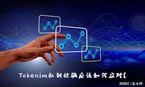 Tokenim私钥被骗后该如何应对？