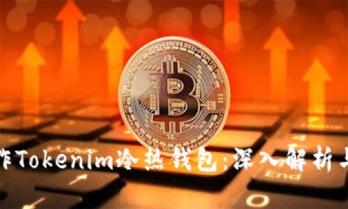 : 如何制作Tokenim冷热钱包：深入解析与实用指南