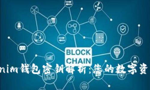 Tokentokenim钱包密钥解析：您的数字资产安全保障