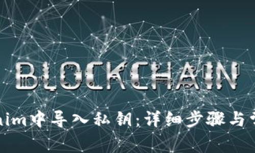 如何在Tokenim中导入私钥：详细步骤与常见问题解答