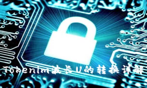 Tokenim波长U的转换详解