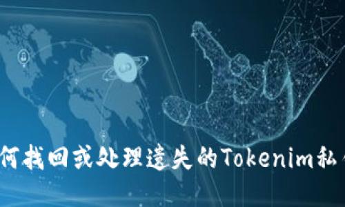 如何找回或处理遗失的Tokenim私钥？