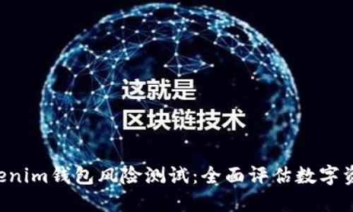 Tokentokenim钱包风险测试：全面评估数字资产安全性