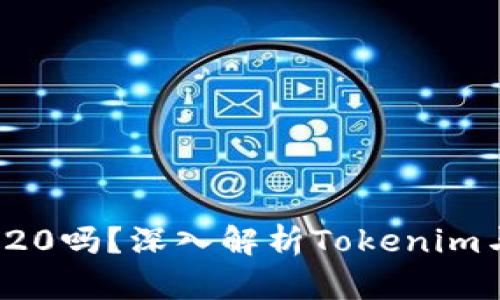 Tokenim支持BEP20吗？深入解析Tokenim与BEP20的兼容性