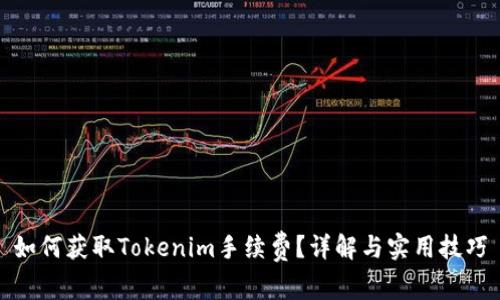 如何获取Tokenim手续费？详解与实用技巧
