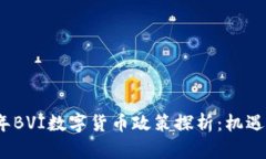 2023年BVI数字货币政策探析：机遇与挑战