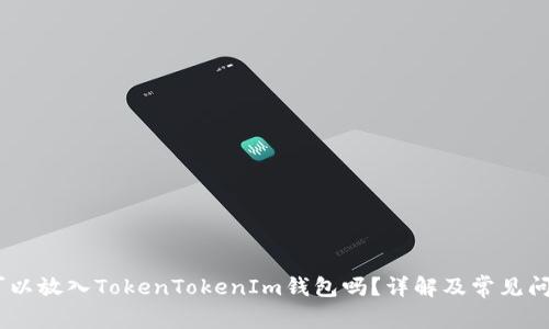 USDT可以放入TokenTokenIm钱包吗？详解及常见问题解答