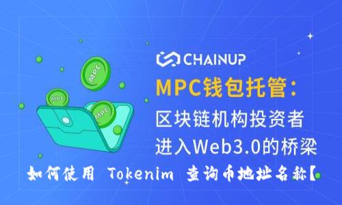 如何使用 Tokenim 查询币地址名称？
