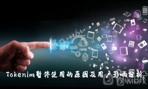 Tokenim暂停使用的原因及用户影响分析