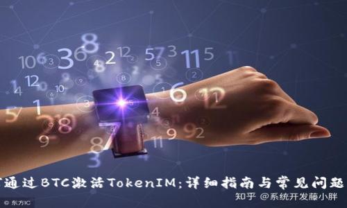 如何通过BTC激活TokenIM：详细指南与常见问题解答