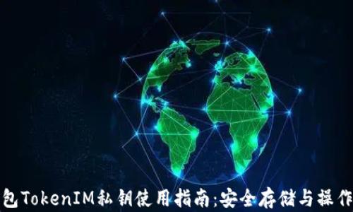 
冷钱包TokenIM私钥使用指南：安全存储与操作详解