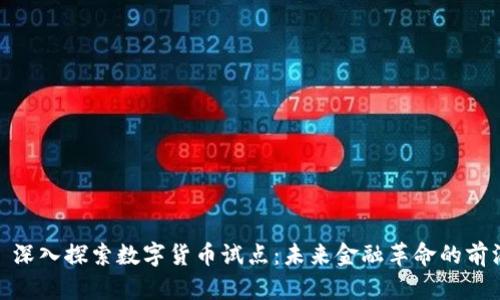 : 深入探索数字货币试点：未来金融革命的前沿