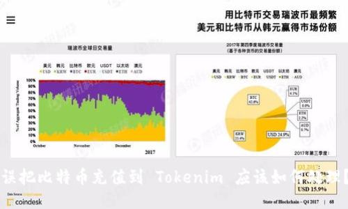 误把比特币充值到 Tokenim 应该如何处理？